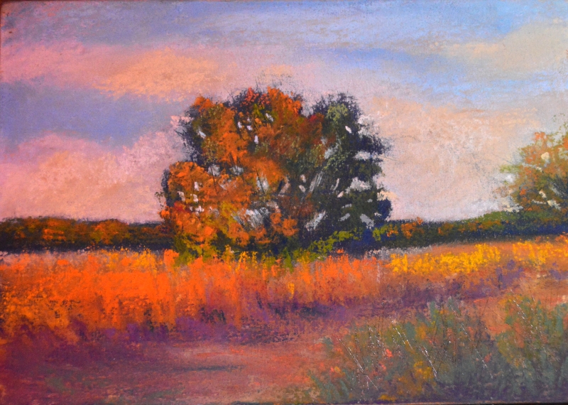 Sunset in the West Field by artist julia fletcher